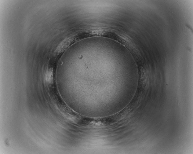 X0000100850502200806201217