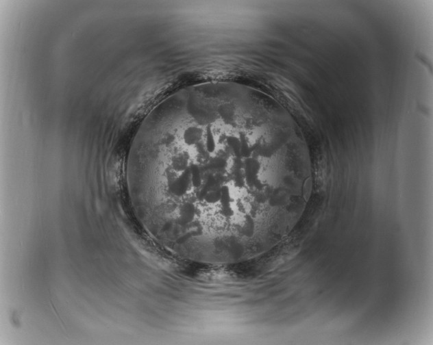 X0000100850503200806201217