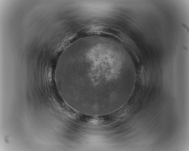 X0000100850504200806201217