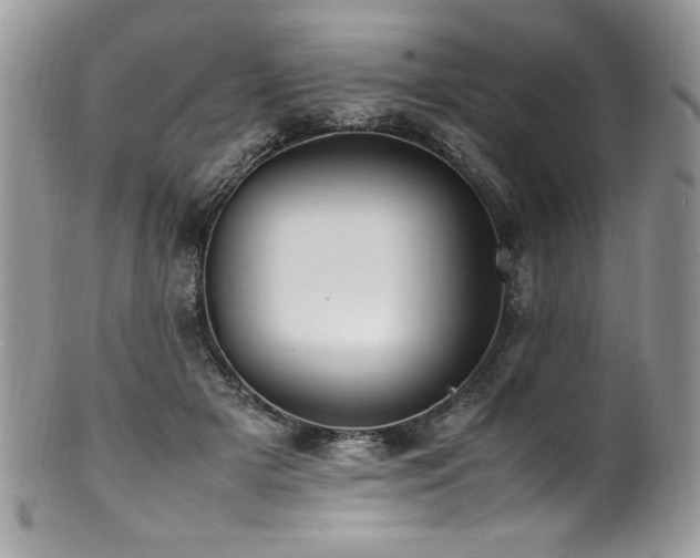 X0000100850505200806201217