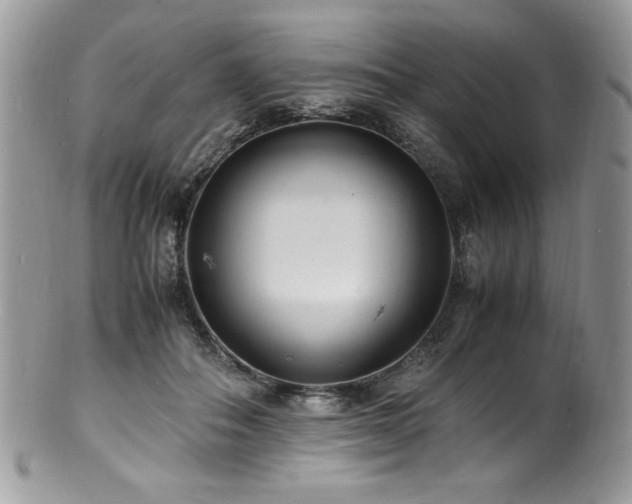 X0000100850506200806201217