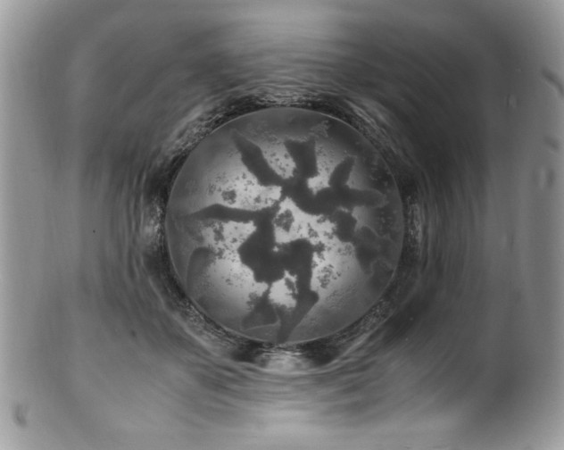 X0000100850507200806201217