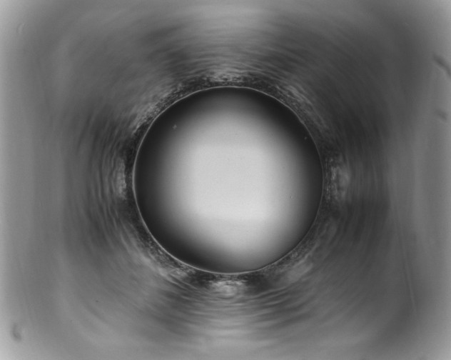 X0000100850508200806201217