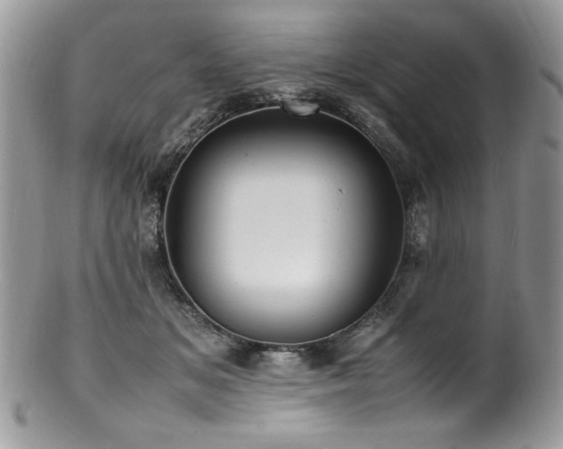 X0000100850509200806201217