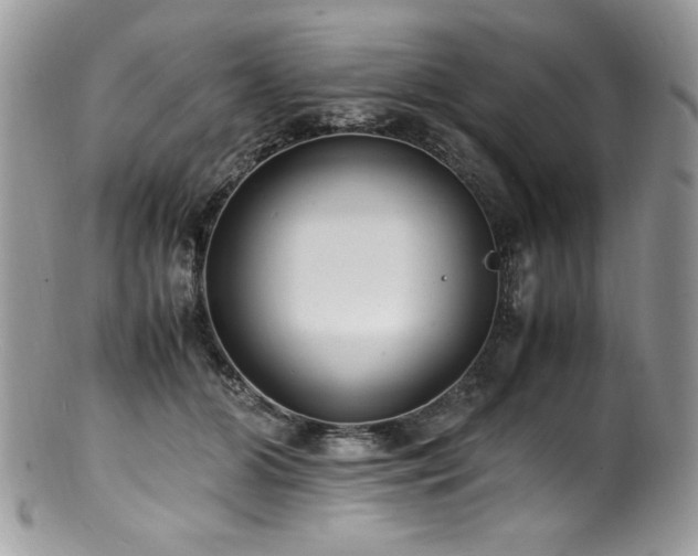 X0000100850510200806201217