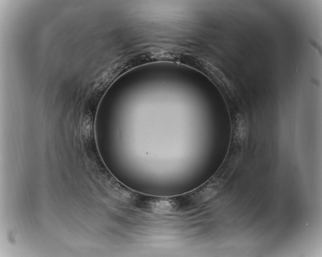 X0000100850513200806201217