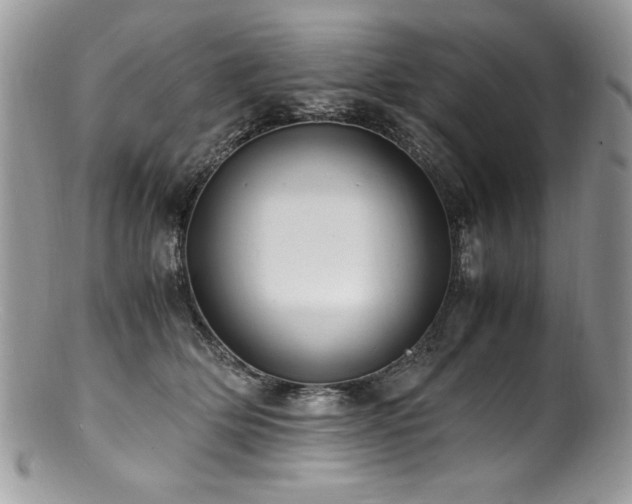 X0000100850514200806201217