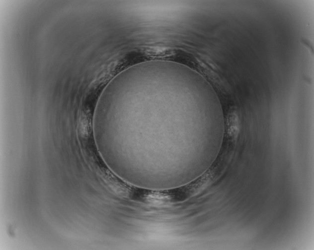 X0000100850515200806201217