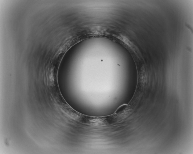 X0000100850516200806201217