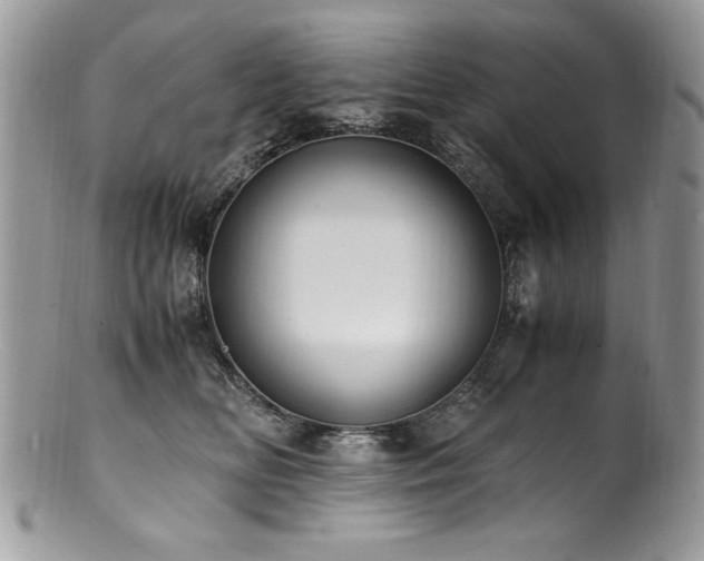 X0000100850518200806201217