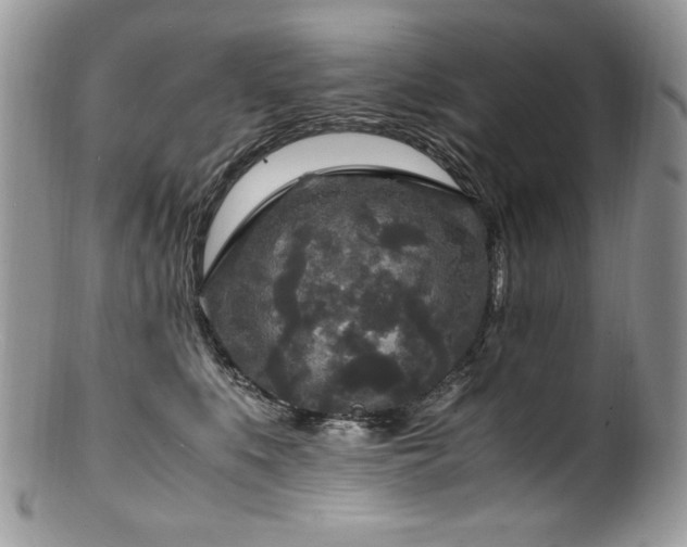 X0000100850519200806201217