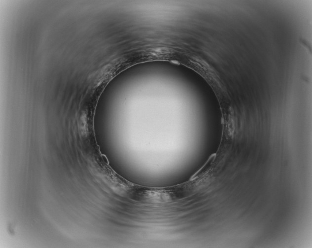 X0000100850520200806201217