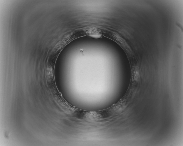 X0000100850521200806201217