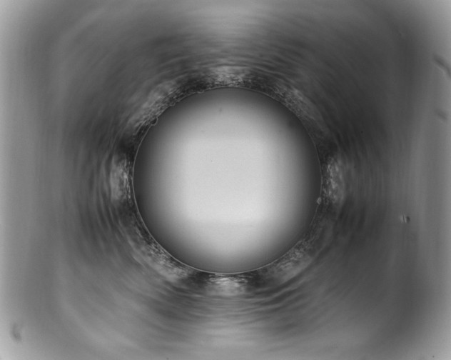 X0000100850522200806201217