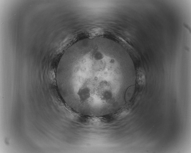 X0000100850523200806201217