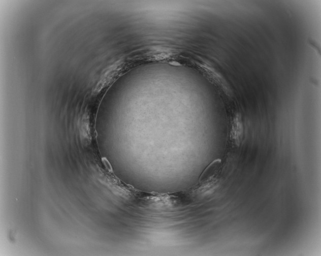 X0000100850524200806201217