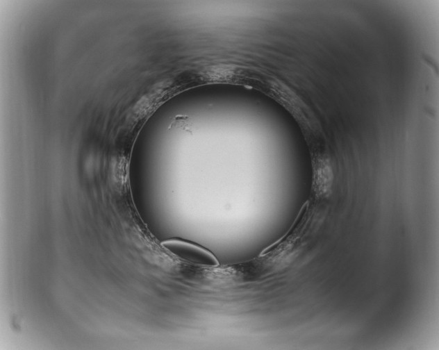 X0000100850525200806201217