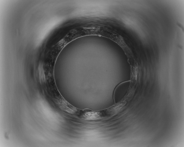 X0000100850526200806201217