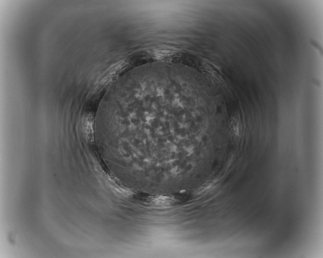 X0000100850527200806201217