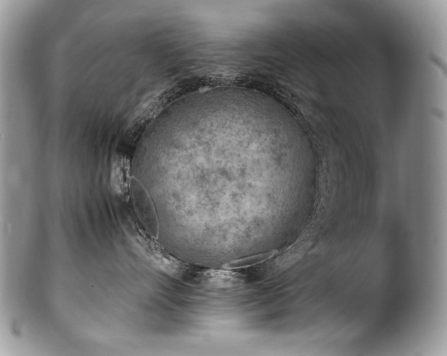 X0000100850528200806201217
