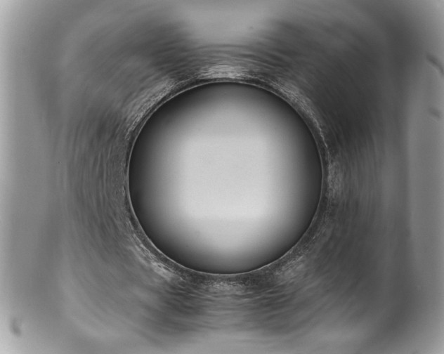 X0000100850529200806201216