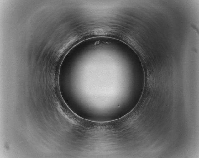 X0000100850530200806201216