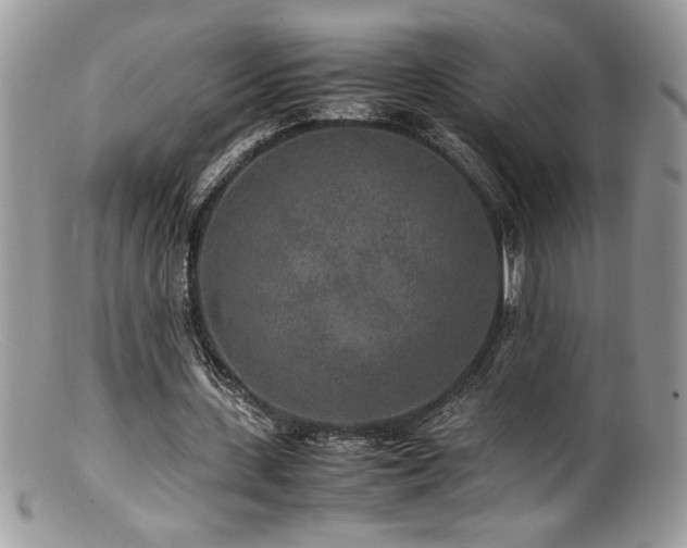 X0000100850531200806201216