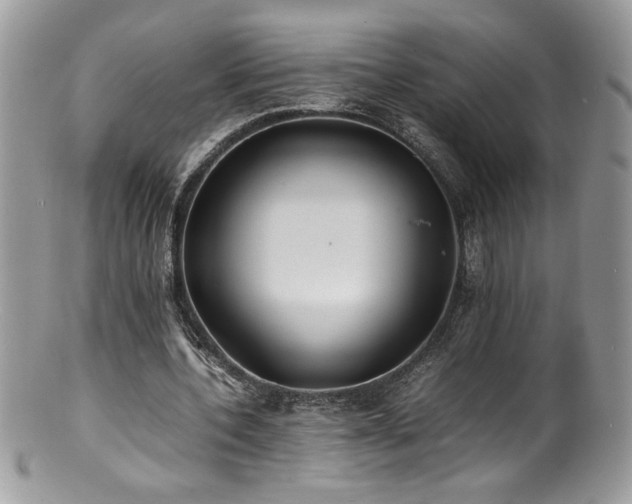 X0000100850532200806201216