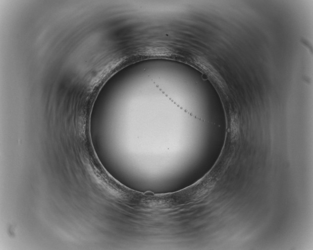 X0000100850533200806201216