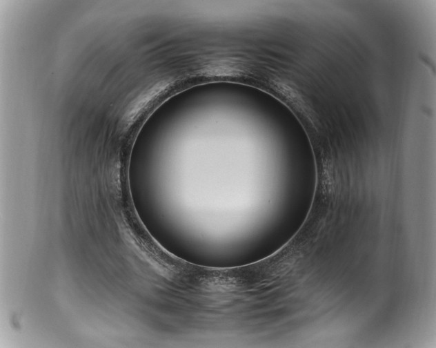 X0000100850535200806201216