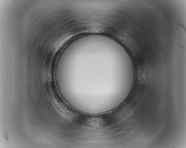 X0000100850536200806201216