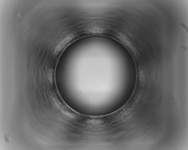 X0000100850537200806201216