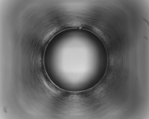X0000100850538200806201216