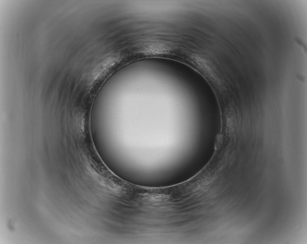 X0000100850539200806201216