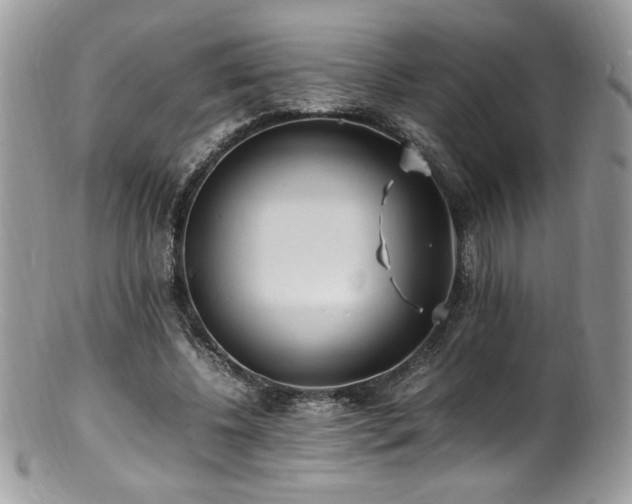 X0000100850540200806201216
