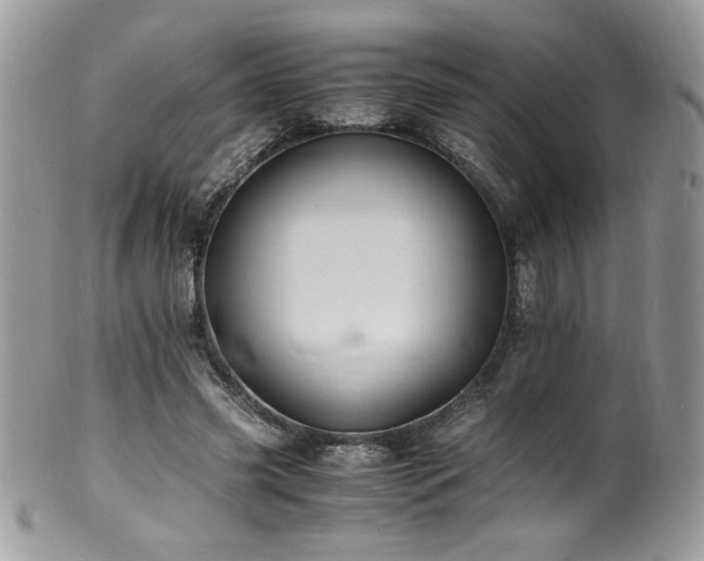 X0000100850541200806201216
