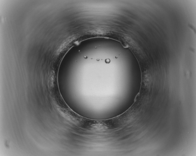 X0000100850544200806201216