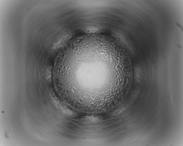 X0000100850545200806201216