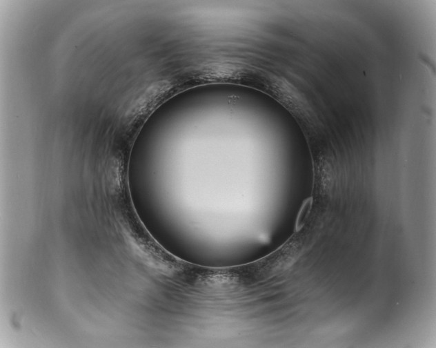 X0000100850546200806201216