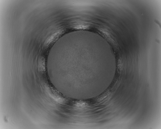 X0000100850547200806201216