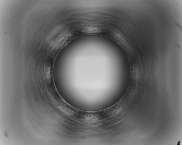 X0000100850549200806201216