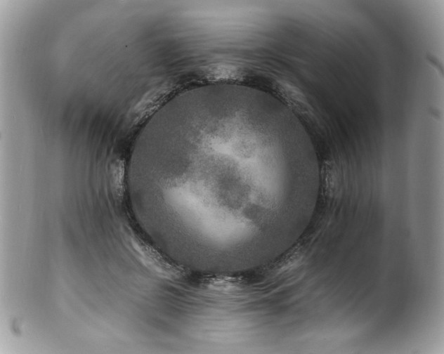 X0000100850550200806201216