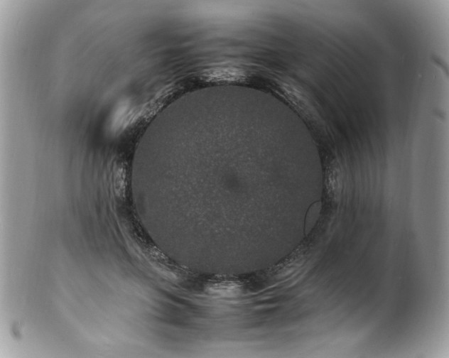 X0000100850551200806201217