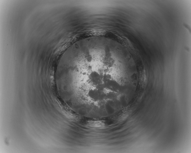 X0000100850553200806201217