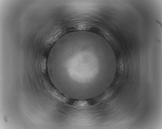 X0000100850554200806201217
