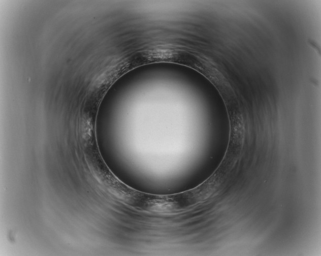 X0000100850555200806201217