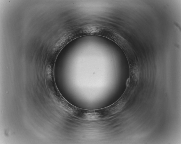 X0000100850556200806201217