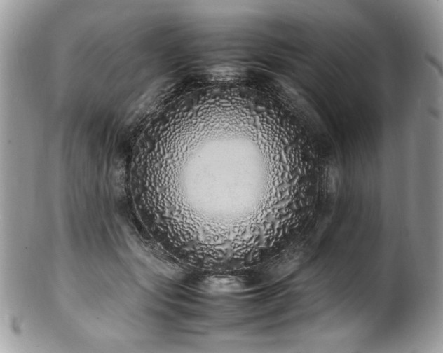 X0000100850557200806201217