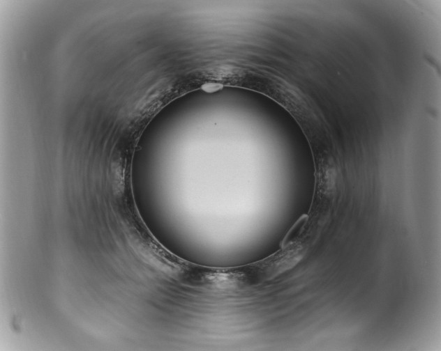X0000100850558200806201217