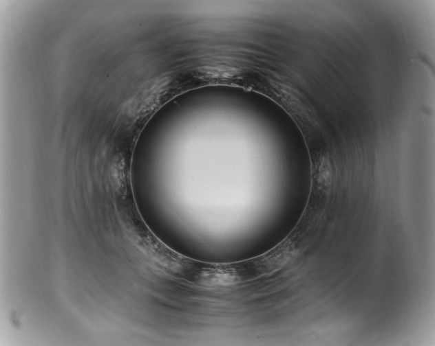 X0000100850559200806201217